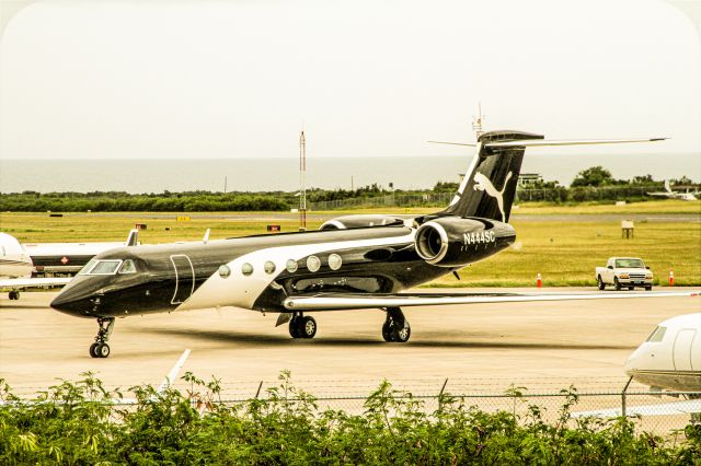 Gulfstream Aerospace Gulfstream V (N444SC)