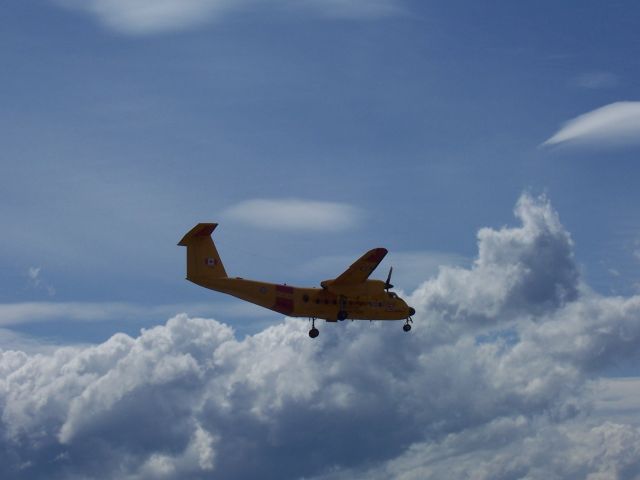 — — - 442 Sqn Search & Rescue  CC-115 Buffalo   Twin tourbo-prop STOL Aircraft CFB Comox, British Columbia     Max load of 2727 kg  operational range of 2240 km