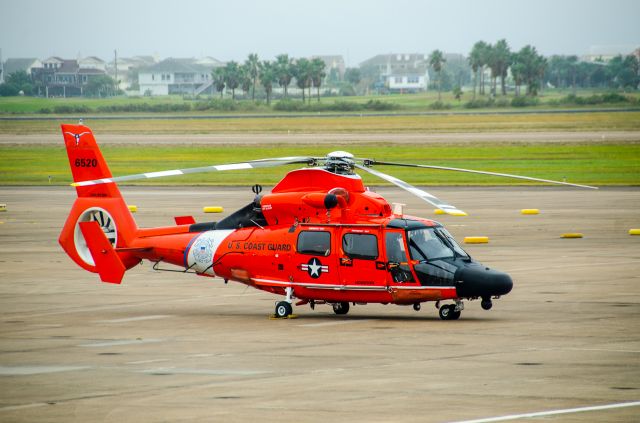 USCG6520 — - MH-65C 6520 on the tarmac at Scholes field, Galveston, TX