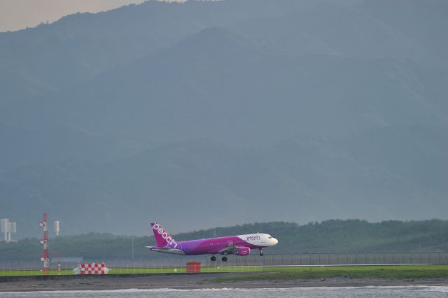 Airbus A320 (JA812P)