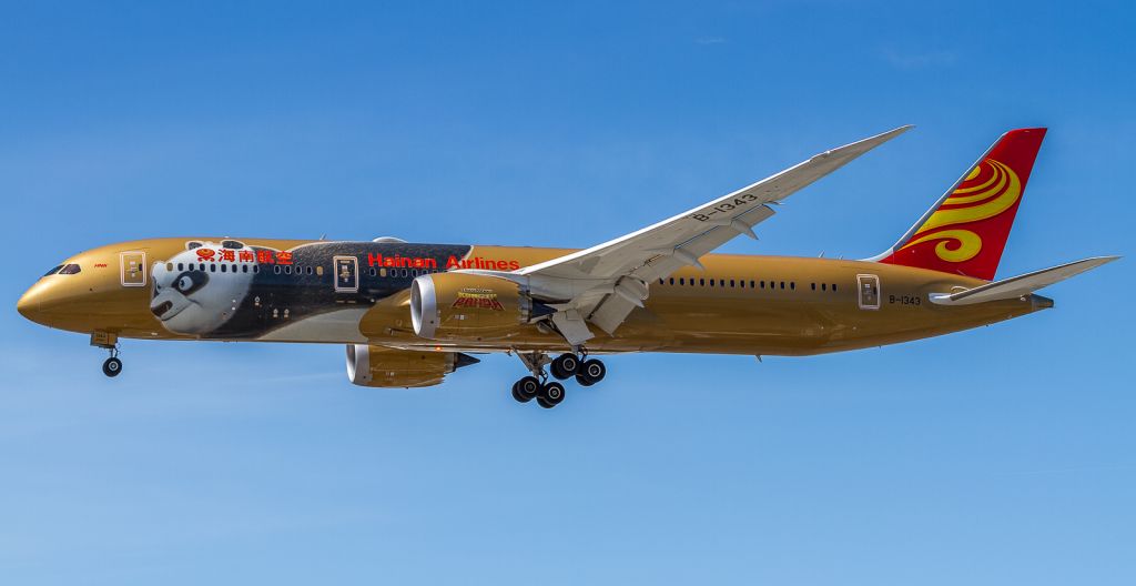 Boeing 787-9 Dreamliner (B-1343)