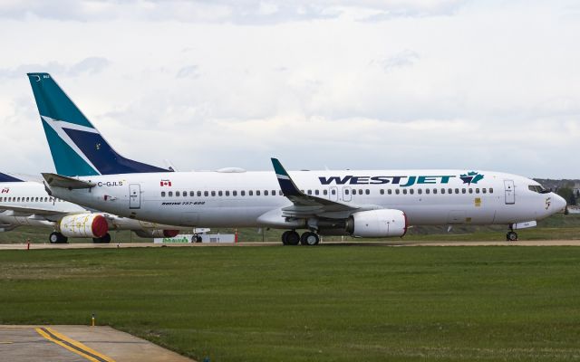 Boeing 737-800 (C-GJLS)