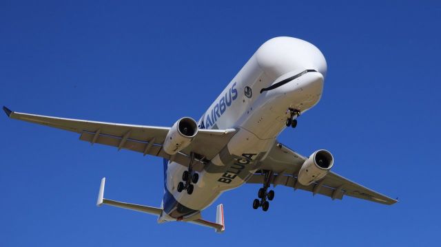 Airbus A330-300 (F-WBXL)