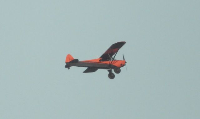 Piper L-21 Super Cub (N70CC)