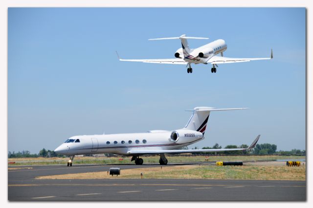 Gulfstream Aerospace Gulfstream V (N502QS)