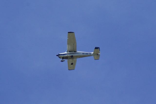 Cessna Skyhawk (N7367A)