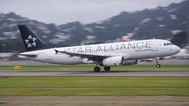 Airbus A320 (ZK-OJH) - ZK-OJH rotating off runway 16 at Wellington International!