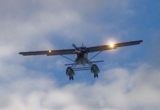 De Havilland Canada DHC-2 Mk1 Beaver (C-GODH)