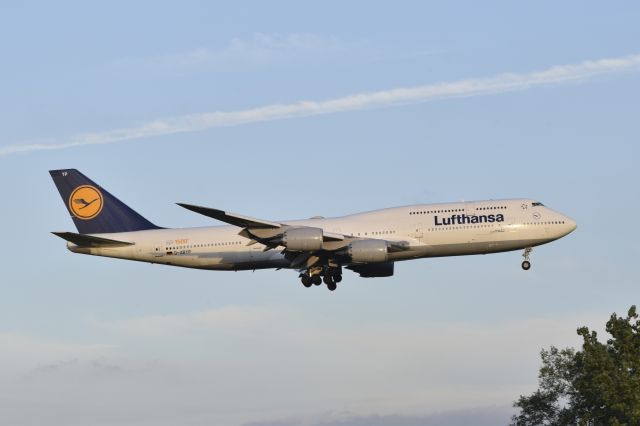 BOEING 747-8 (D-ABYP) - On final approach over Queens, New York, deploying its landing gear. Taken from Idlewild Park.