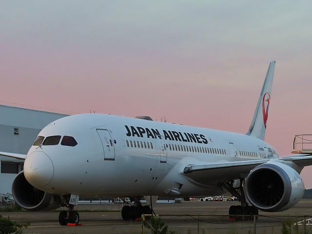 Boeing 787-8 (JA826J) - I took this picture on Oct 26, 2020.