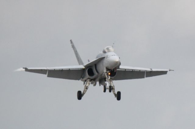 McDonnell Douglas FA-18 Hornet (N163446) - US Navys F/A-18 Hornet performs during the 2012 Florida International Airshow