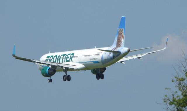 Airbus A321 (N705FR) - Shown here is "Ferndale" the Owl hitching a ride on a Frontier Airbus A321 with a moment until landing in the Summer of 2016. 