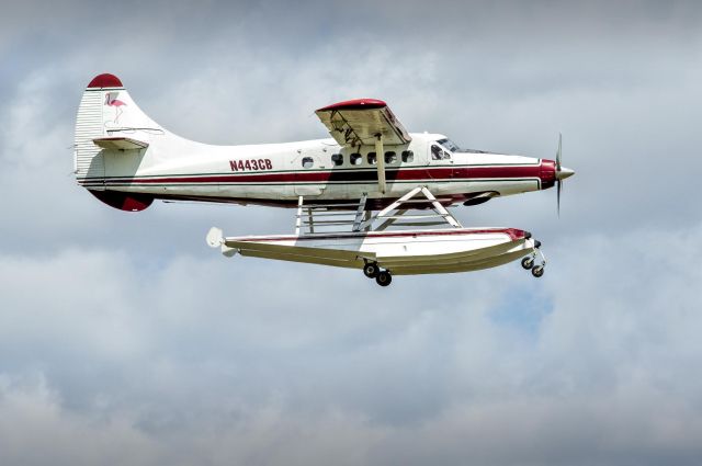 De Havilland Canada Twin Otter (N443CB) - Awesome float plane!