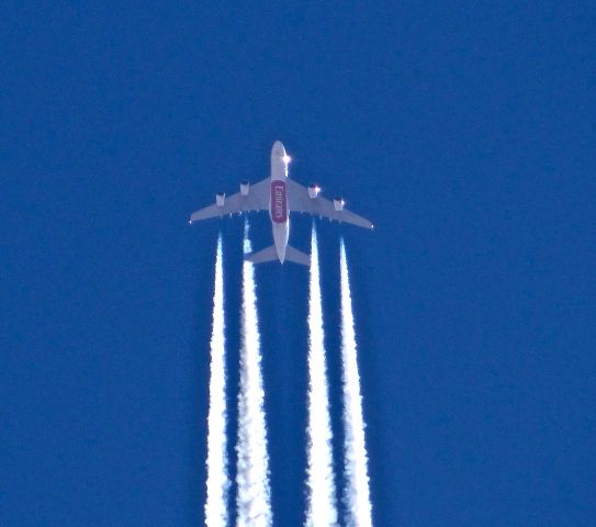 Airbus A340-300 (A6-ERM)