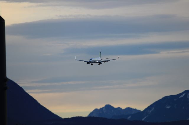 Boeing 737-800 (PH-HZN)