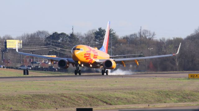 Boeing 737-700 (N781WN) - Captured this bird arriving on Runway 02R.