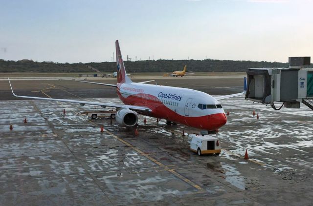 Boeing 737-800 (HP-1534CMP) - In honor of Panama´s National Soccer Team.