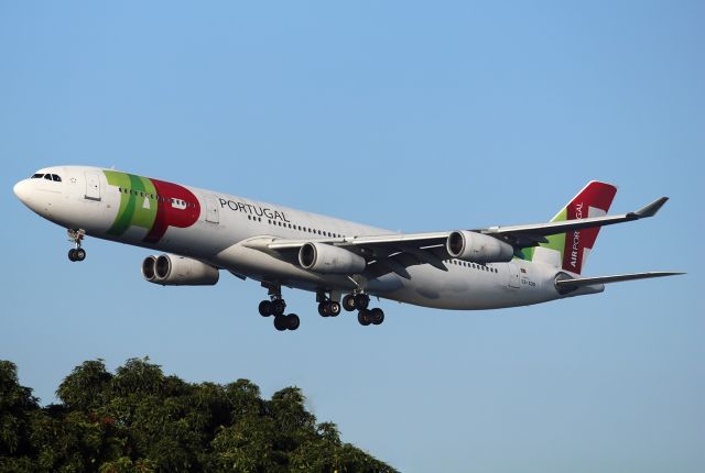 Airbus A330-300 (CS-TOD)