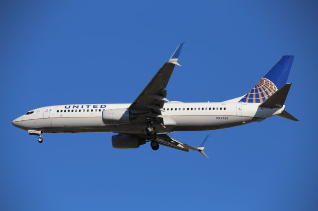 Boeing 737-800 (N77520)