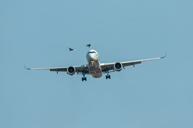 Airbus A350-1000 (B-LXA)