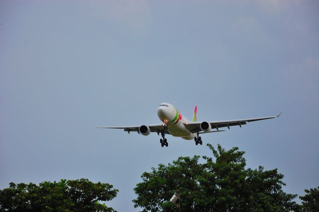 Airbus A330-200 (CS-TOP)