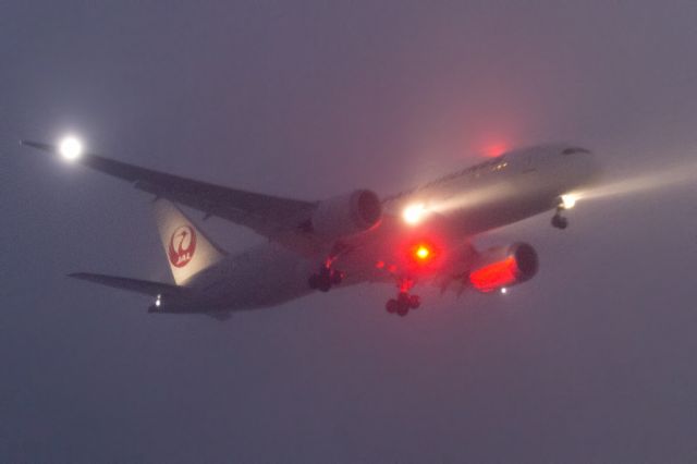 Boeing 787-8 — - Arriving in winter storm Jonas