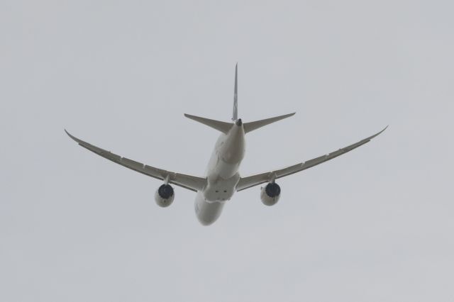 Boeing 787-8 (JA899A)