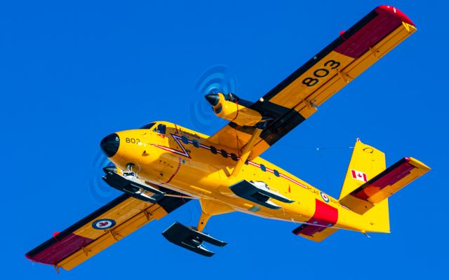 De Havilland Canada Twin Otter (N13803)