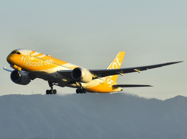 Boeing 787-8 (9V-OFC)