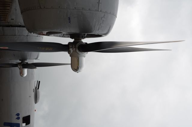 Boeing B-29 Superfortress (NX529B) - EAA 2011 B-29 "Fifi" on display. Tried to get a little different perspective on her. Notice the names on the engines. Sorry about the sideways view - not sure how to upload a vertical shot so it stays vertical on this site.