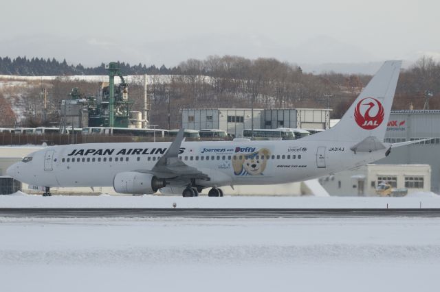 Boeing 737-800 (JA314J) - 11 January 2016:HND-HKD.