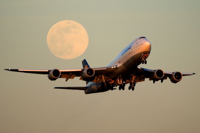 BOEING 747-8 (D-ABYD)