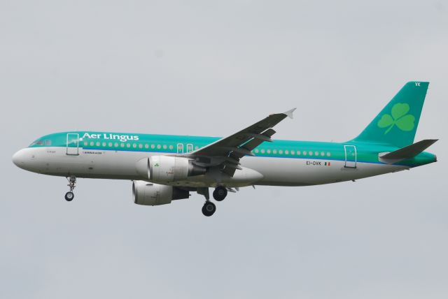 Airbus A320 (EI-DVK)