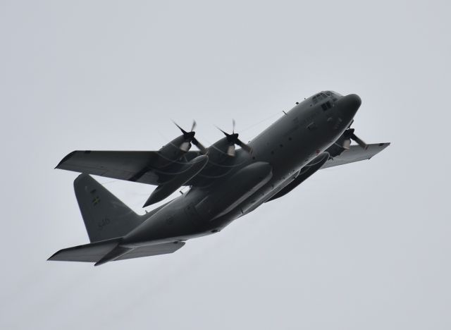 Lockheed C-130 Hercules — - Just south of Runway 32 at KAEX