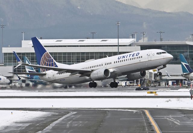 Boeing 737-800 (N77536)