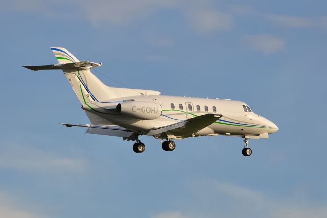 Hawker 800 (C-GOHJ)