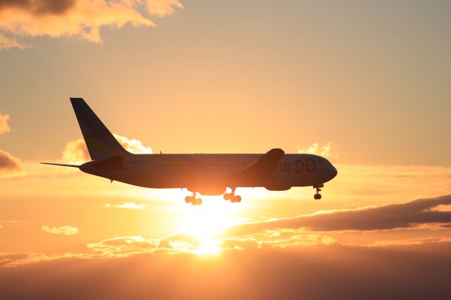 BOEING 767-300 (JA98AD) - November 24th 2018:HND-HKD.