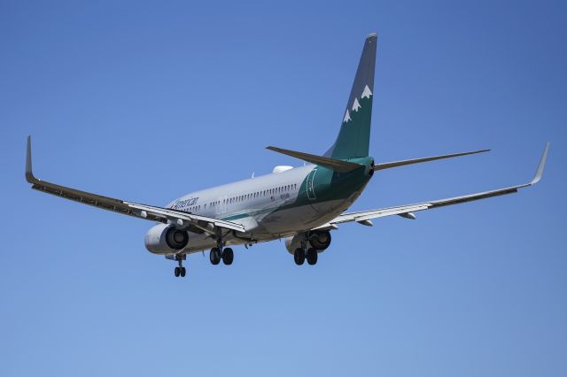 Boeing 737-800 (N916NN)