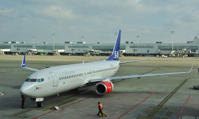 Boeing 737-800 (LN-RGD) - SAS Scandinavian Airlines Boeing 737-86N(WL) LN-RGD in Brussels 