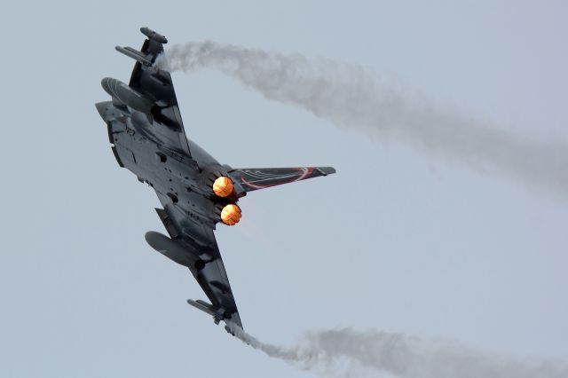 EUROFIGHTER Typhoon (7LWB)