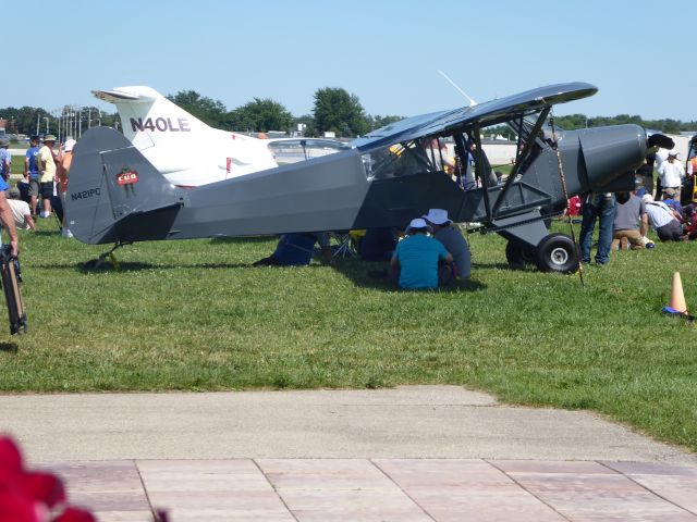 Piper L-21 Super Cub (N421PC)