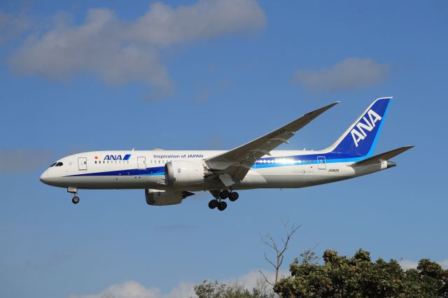 Boeing 787-8 (JA812A) - October 24th 2020:HND-HKD.