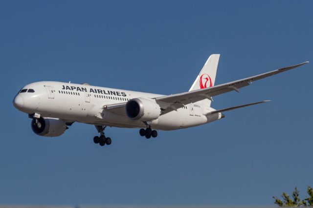 Boeing 787-8 (JA843J)