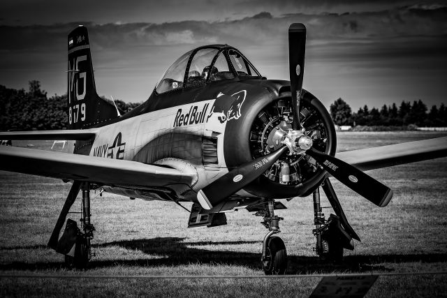 North American Trojan (OE-ESA) - Antidotum Airshow Leszno . Flying Bulls T28 Trojan - 28.08.2020 . Leszno , Poland.