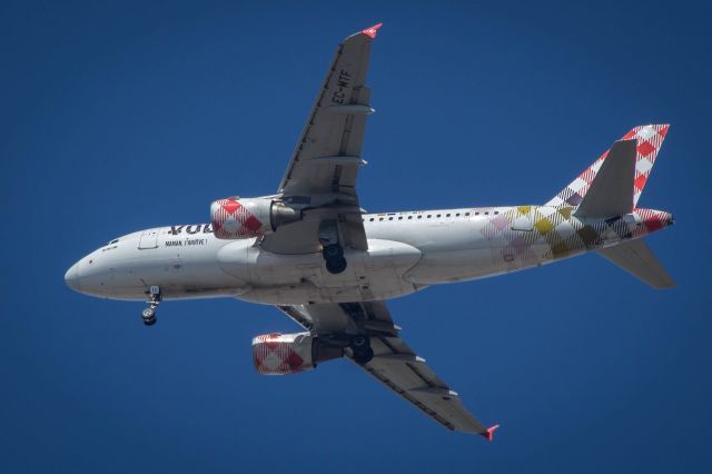 Airbus A319 (EC-MTF)