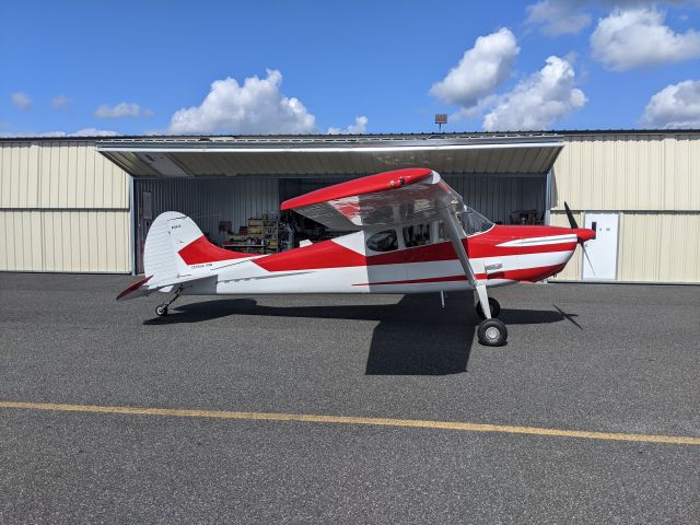 Cessna 170 (N1944C)
