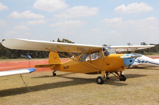 VH-LDT — - Aeronca 7AC Champion.br /Photo: 04.11.2012