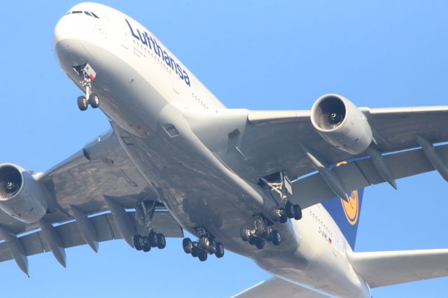 Airbus A380-800 (D-AIML)