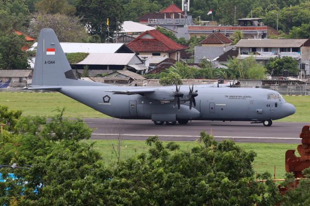 Lockheed C-130 Hercules (A1344)