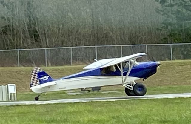 Piper L-21 Super Cub (N364CF)